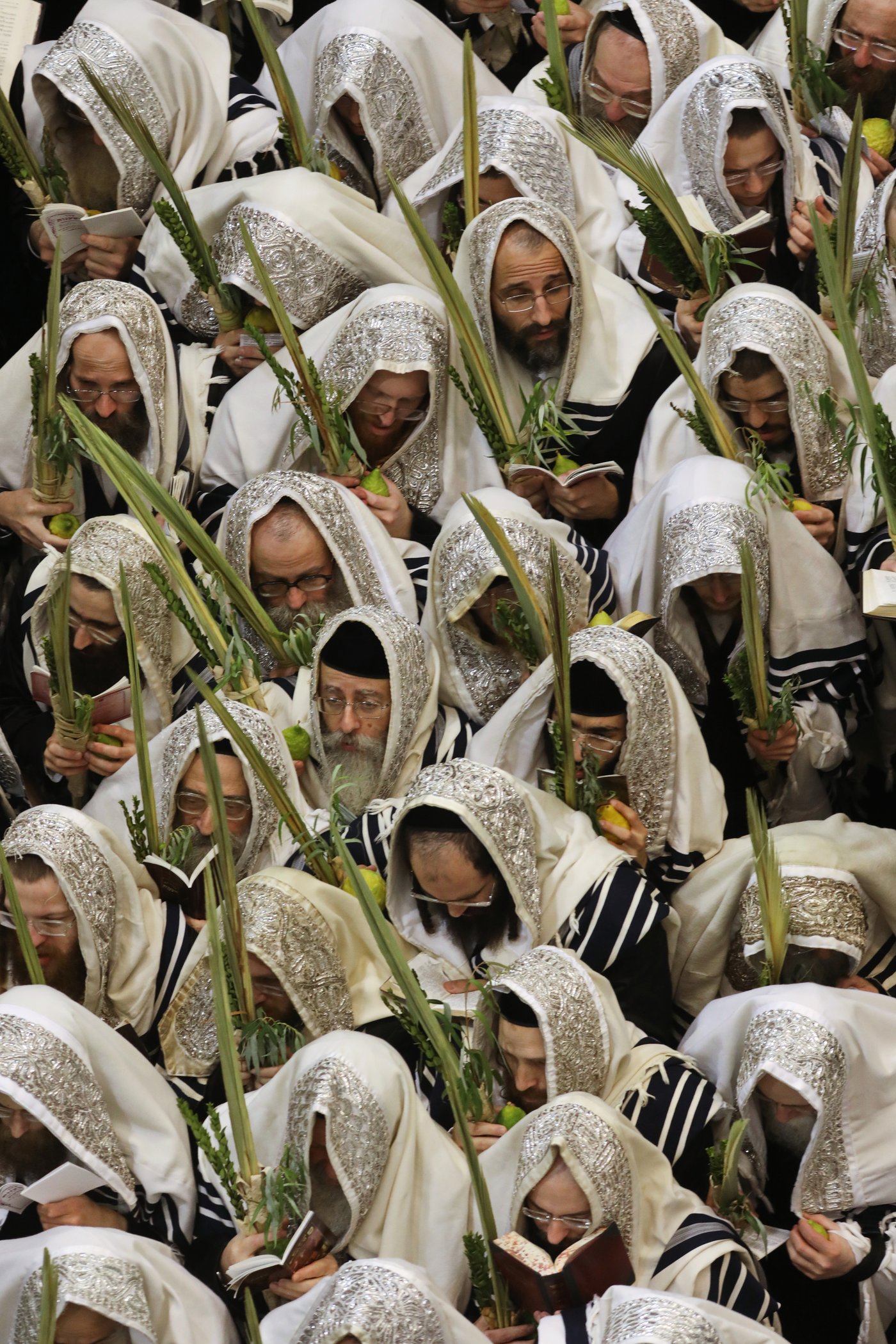 אלפי חסידי בעלזא בשחרית בהושענא רבה