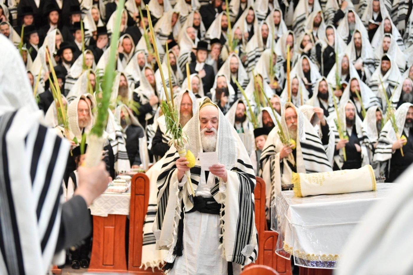 הרבי מויז'ניץ בתפילה