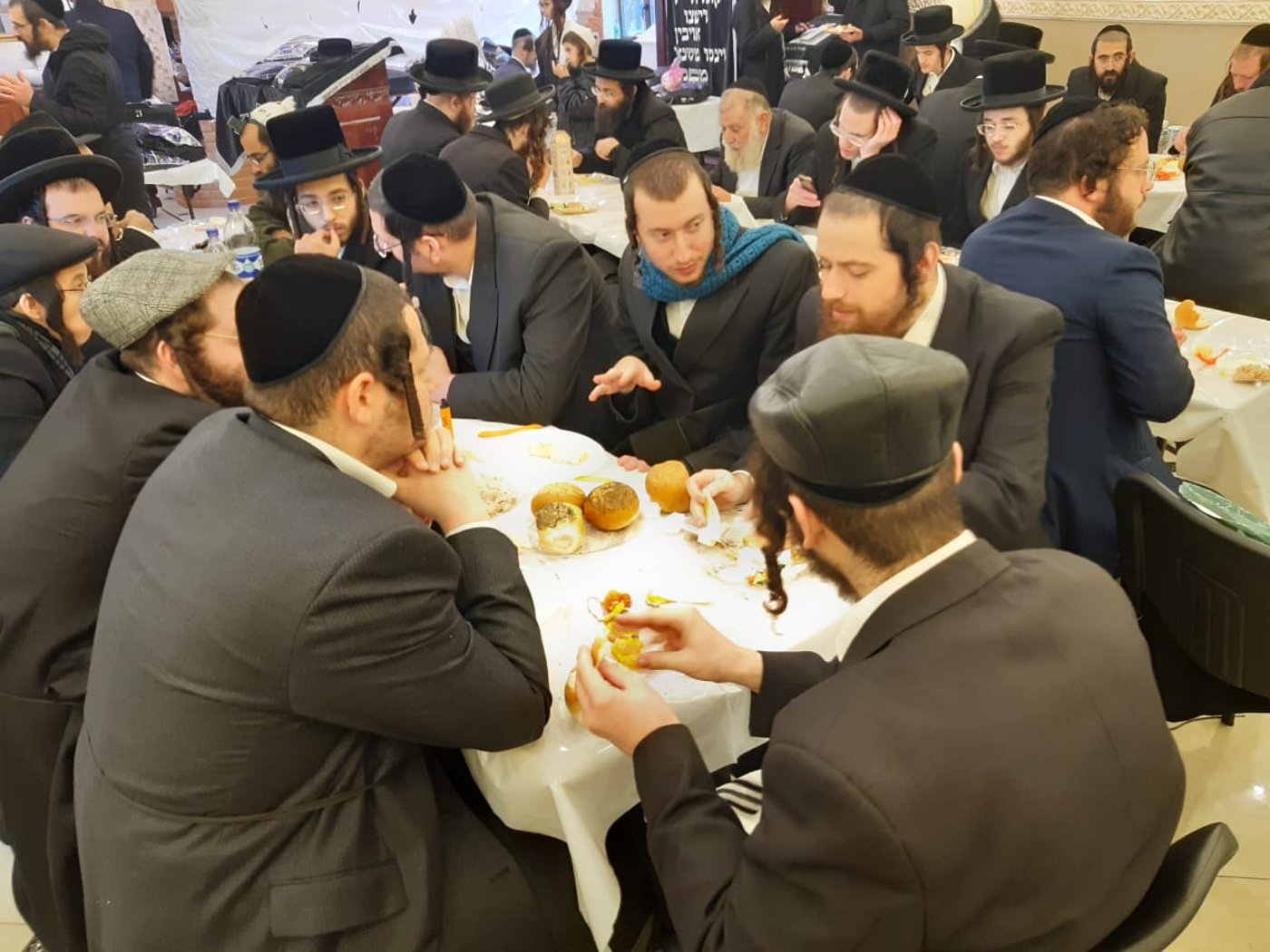 ביום ההילולא: הכנסת ספר תורה בברדיטשוב