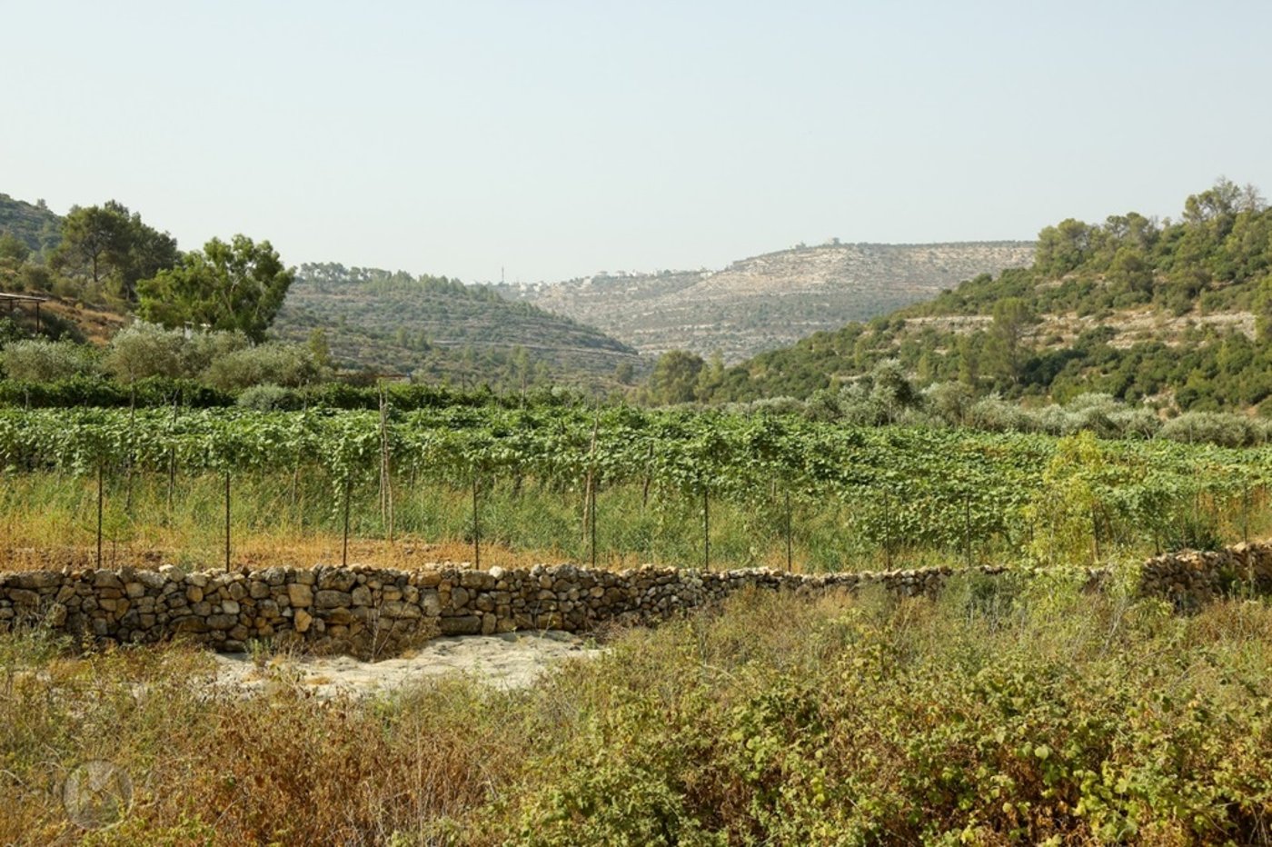 ואדי זרקה חוצה את כביש 465 דרומית לנווה צוף