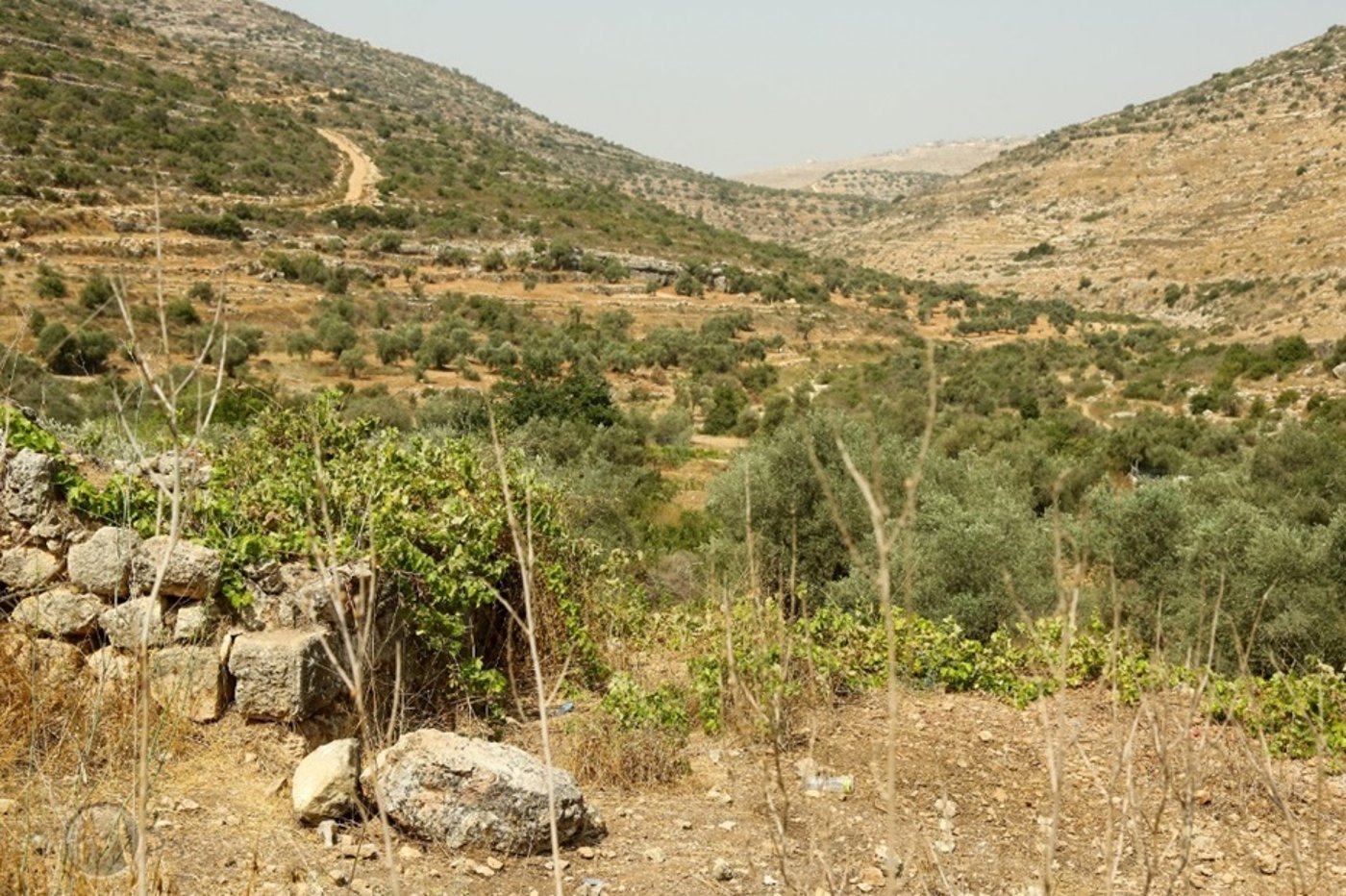 סיפורו של כביש; האם 465 מסוכן ביטחונית?
