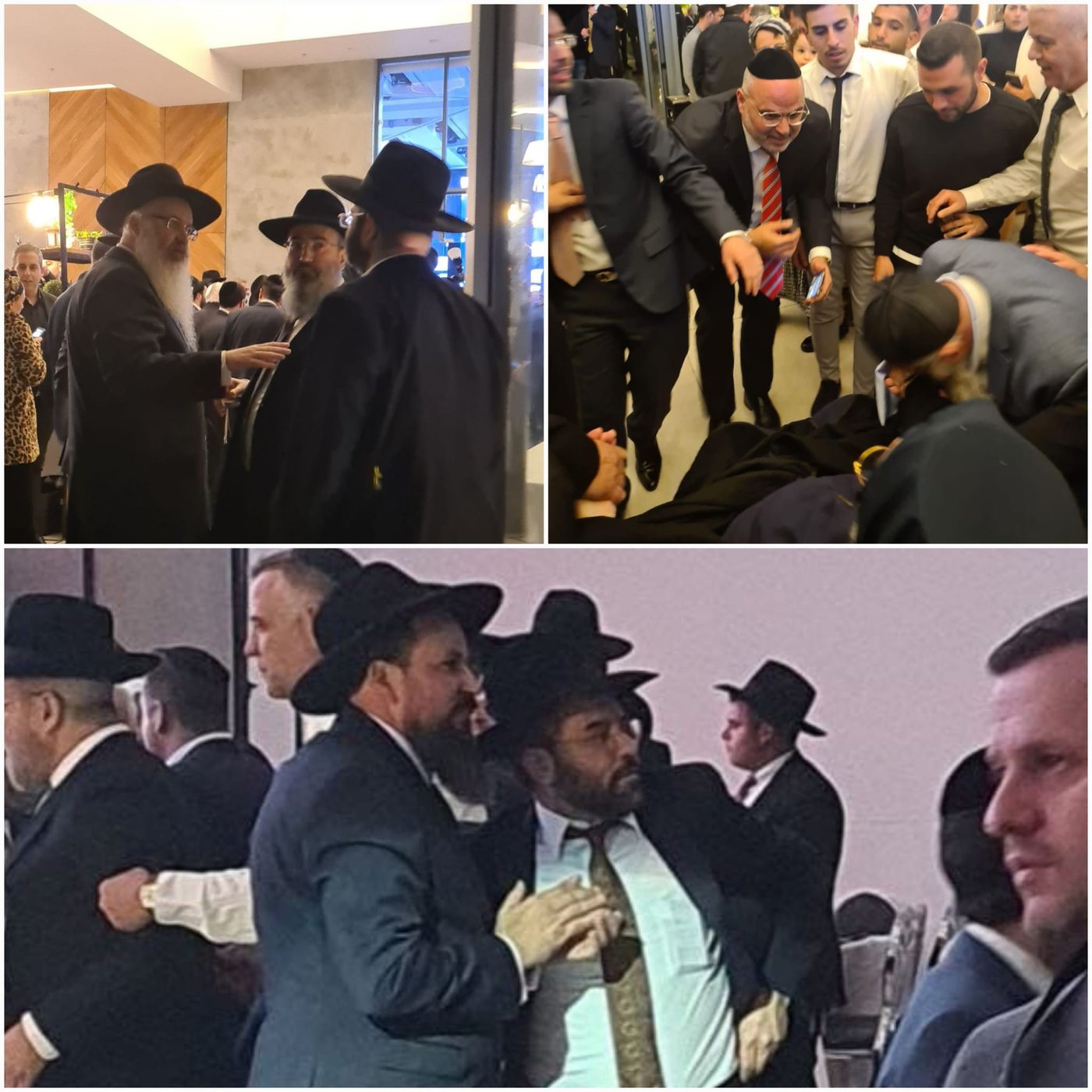 זופניק בכיכר • כל התמונות והנייעס של השבוע
