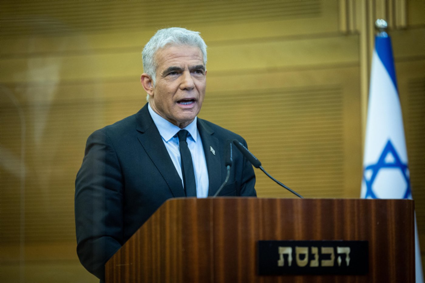 שר החוץ: "נצביע בעד גינוי רוסיה באו"ם"