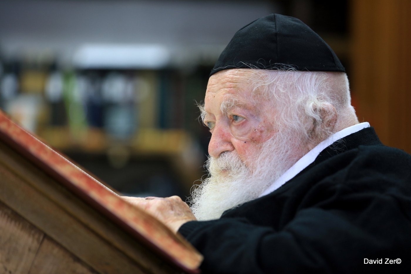שנים של עמל התורה; מראות חייו של מרן רבי חיים קנייבסקי זצ"ל