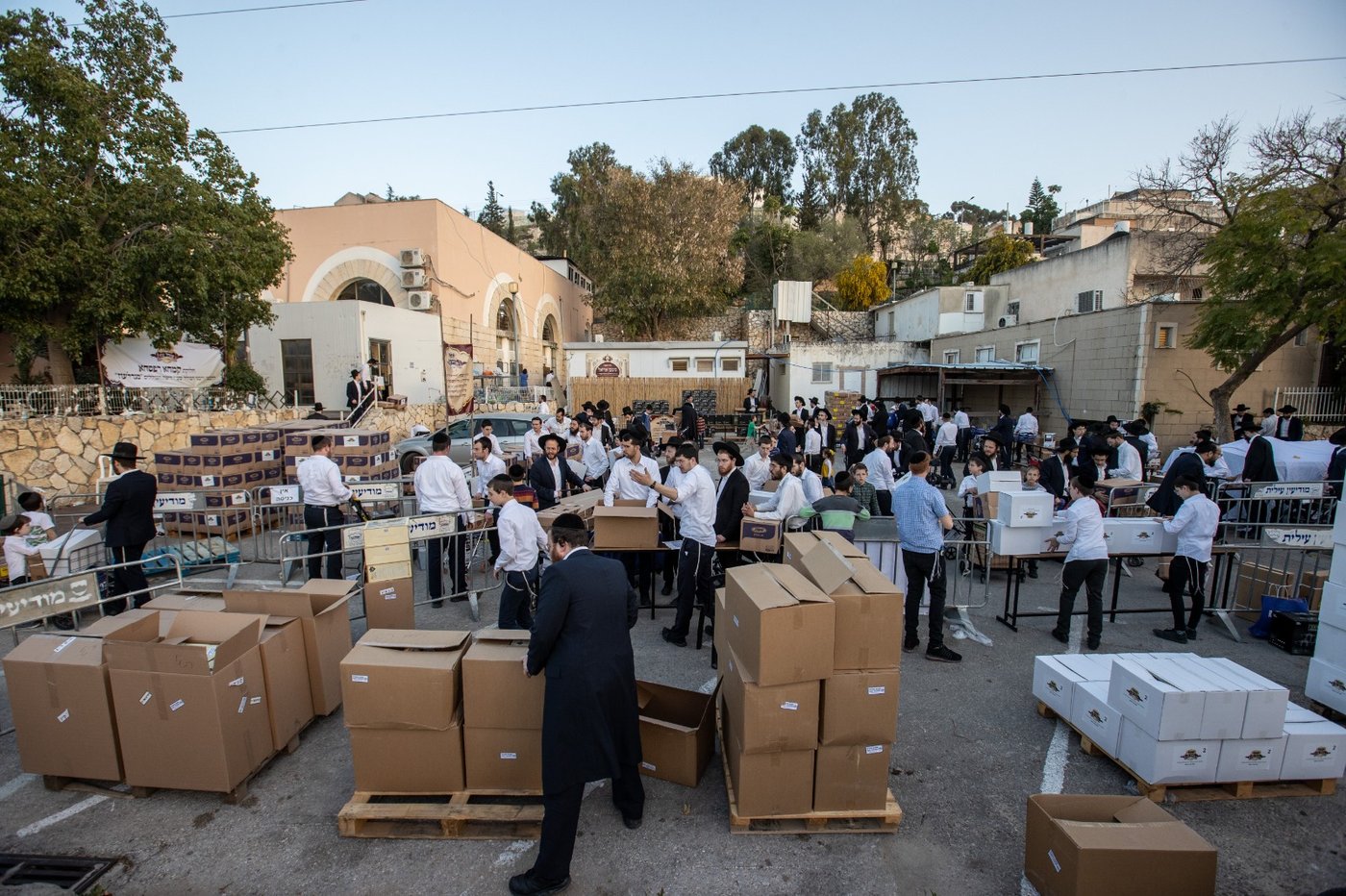 חלוקת הענק לאברכי רשת הכוללים 'מגדל עוז'
