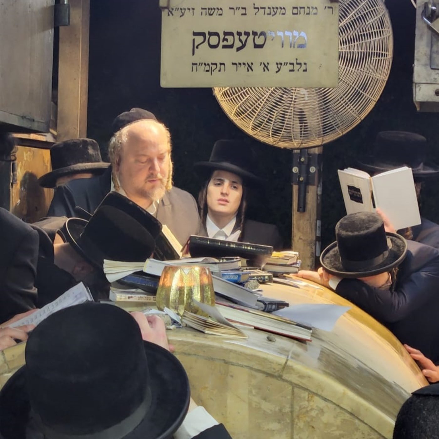 זופניק בכיכר • כל התמונות והנייעס של השבוע