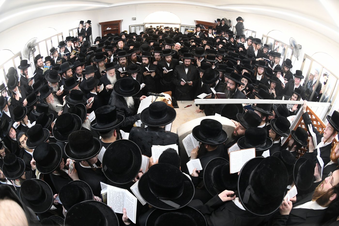 סיום הש"ס, טיש ותעודות לנבחנים: הילולת ה'שפע חיים' זיע"א בצאנז