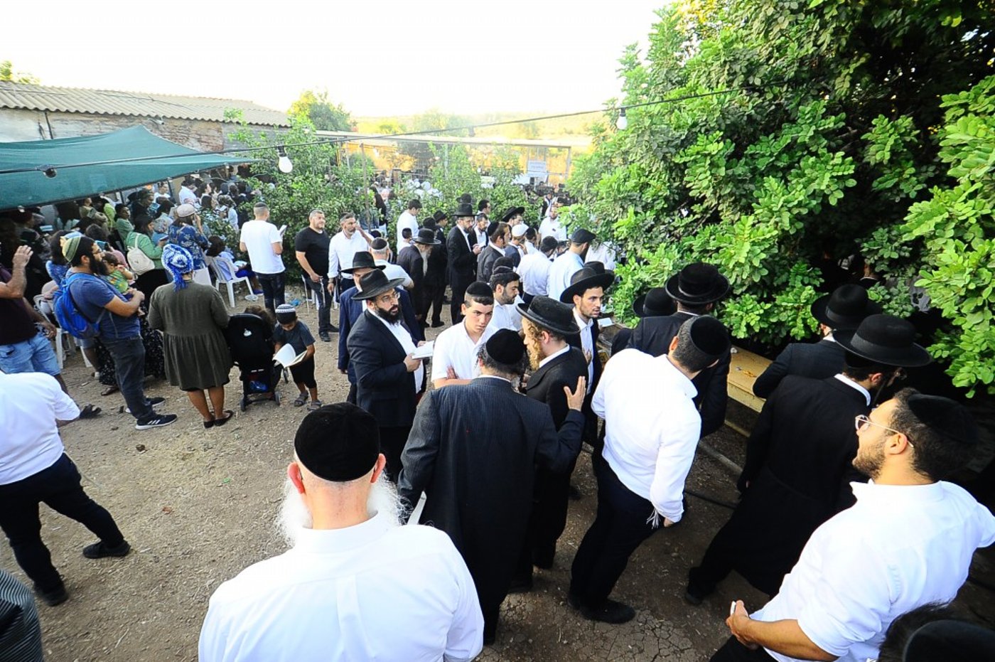 תיעוד: המונים השתתפו בהילולת הצדיק מעגו'ר