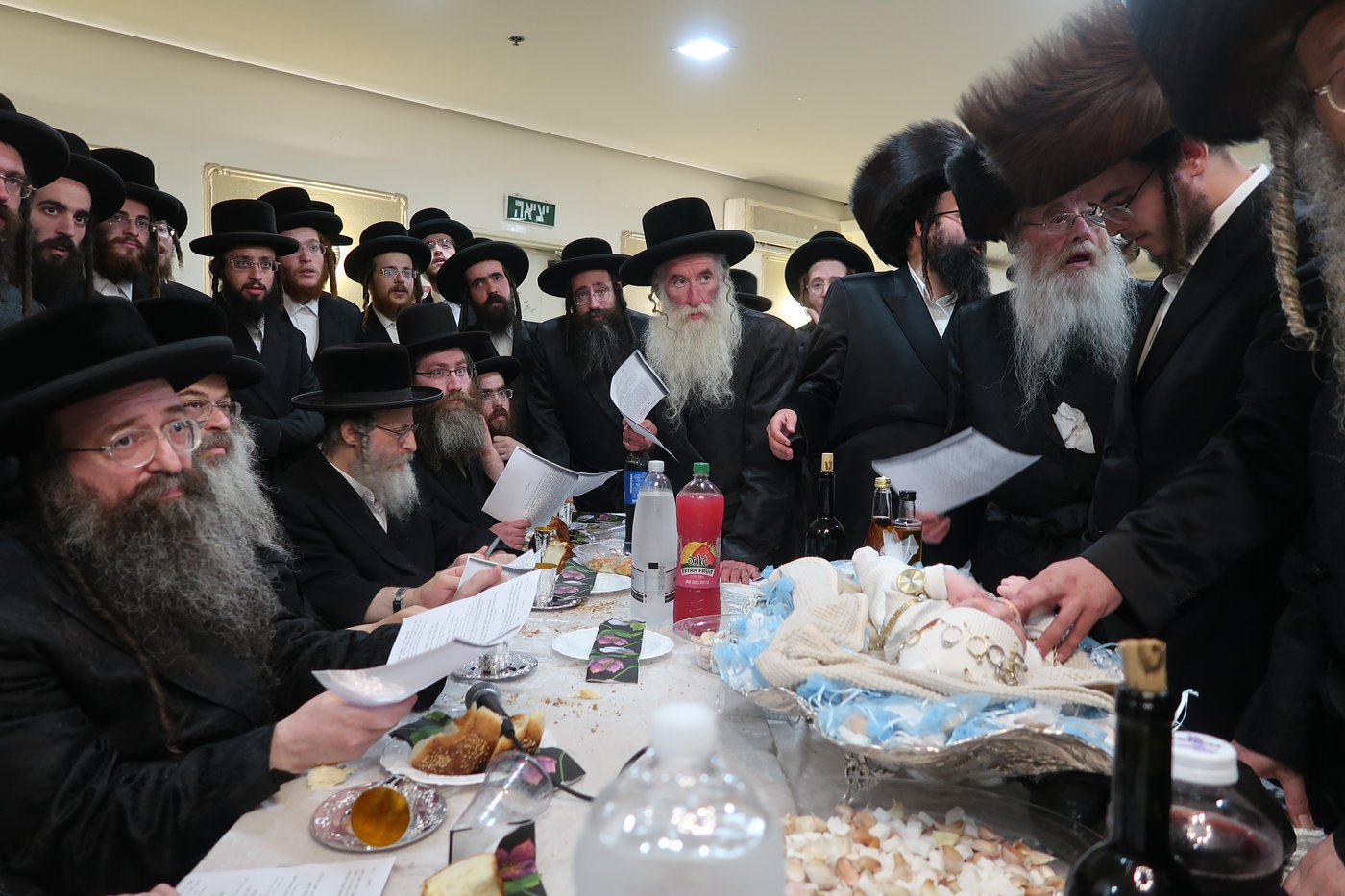 גלריה: פדיון הבן לנכד האב"ד וחתן האדמו"ר