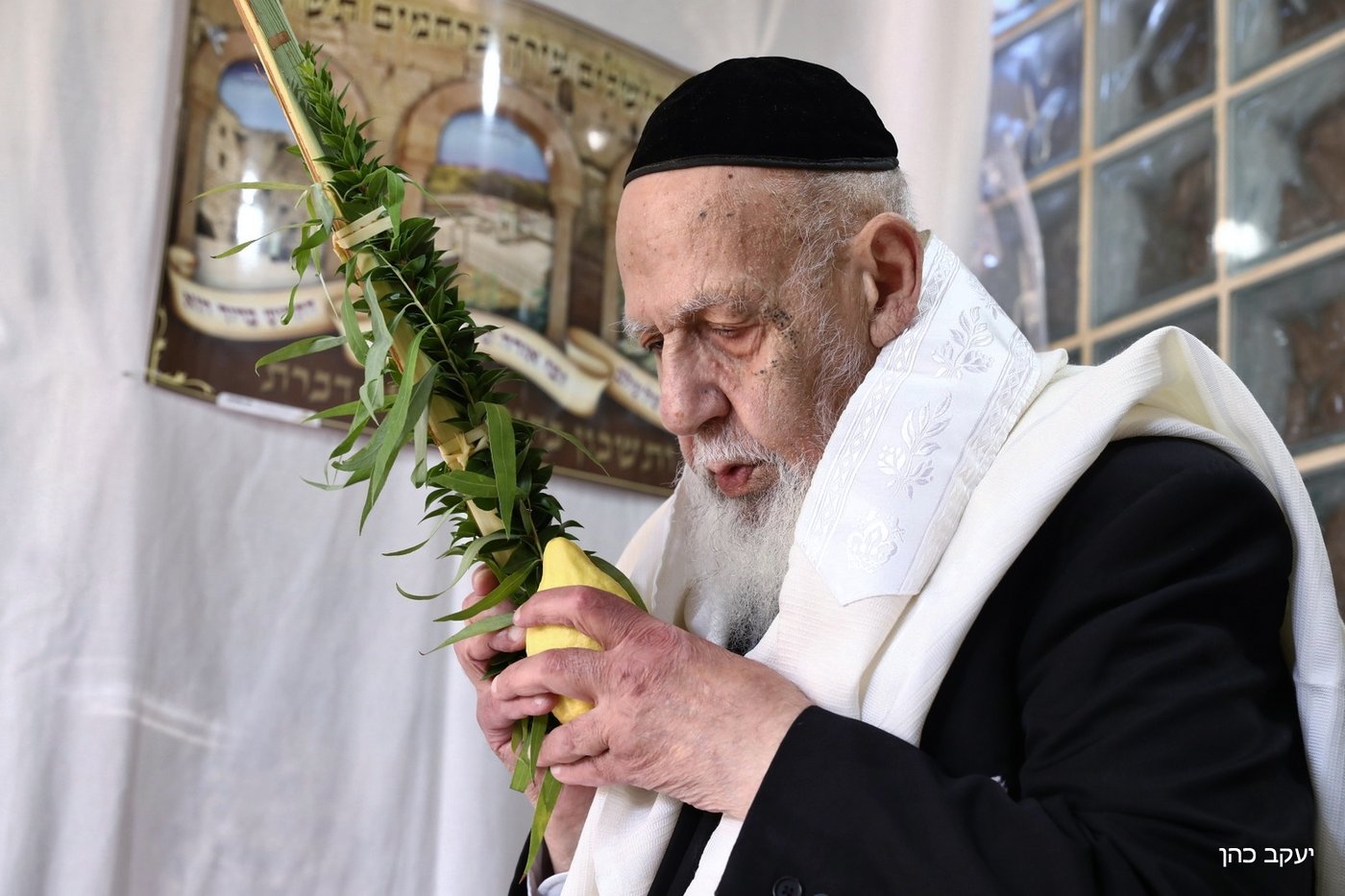 מראות חייו של נשיא המועצת חכם שלום כהן זצוק"ל
