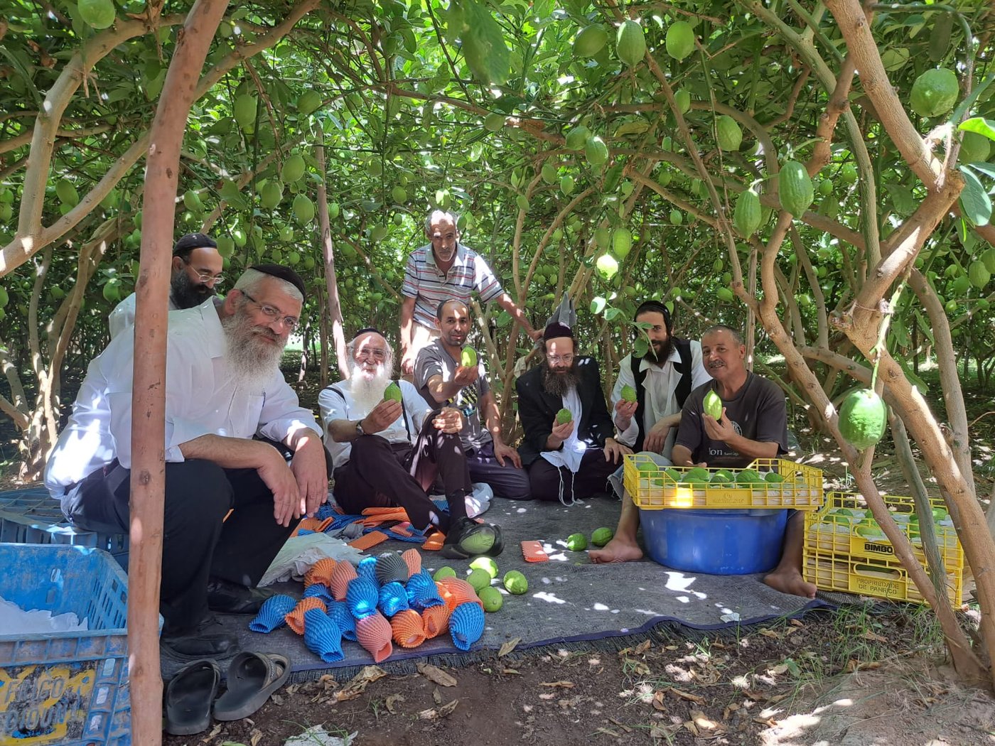זופניק בכיכר • כל התמונות והנייעס של השבוע