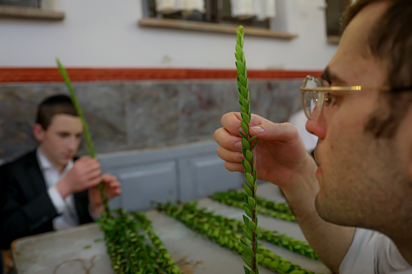 רגע אחרי הצום; האברכים בחרו ארבעת המינים • תיעוד