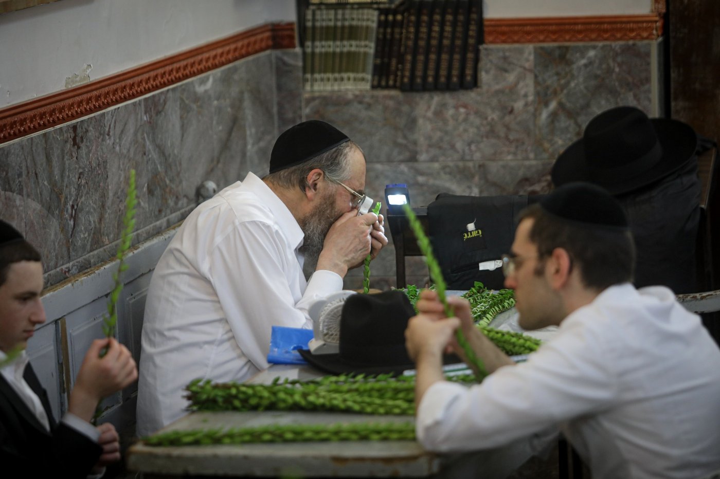 רגע אחרי הצום; האברכים בחרו ארבעת המינים • תיעוד