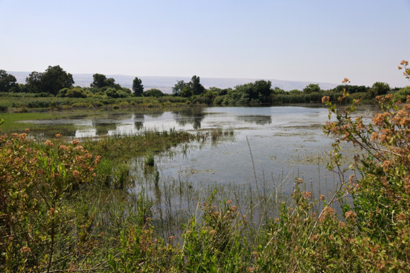 מסוריה לישראל: חיידק כולרה התגלה במקור מים בצפון