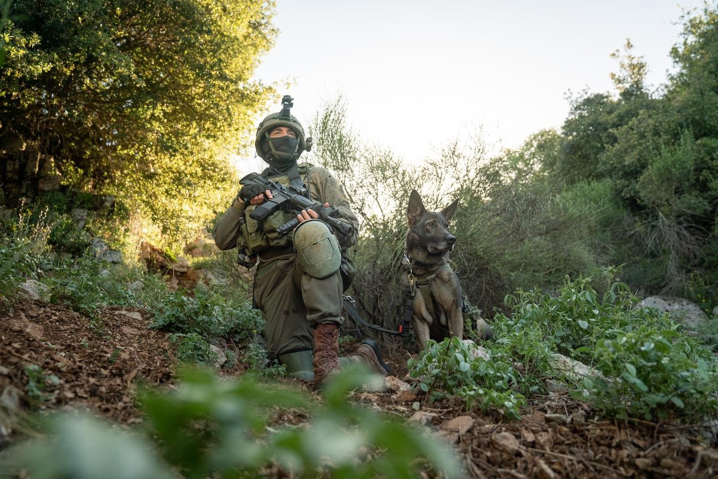 מקבלי האות: עלות השחר, שובר גלים ו'פעולות עלומות'