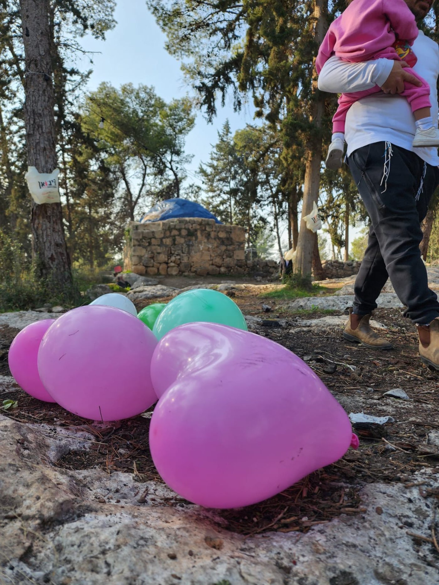 הפתעה בקבר מתתיהו - חתונה; "דווקא פה מתאים להתחתן" | תיעוד