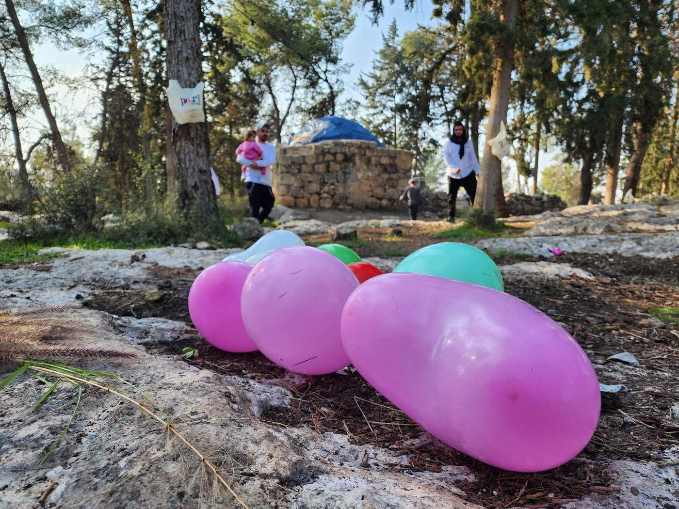 הפתעה בקבר מתתיהו - חתונה; "דווקא פה מתאים להתחתן" | תיעוד