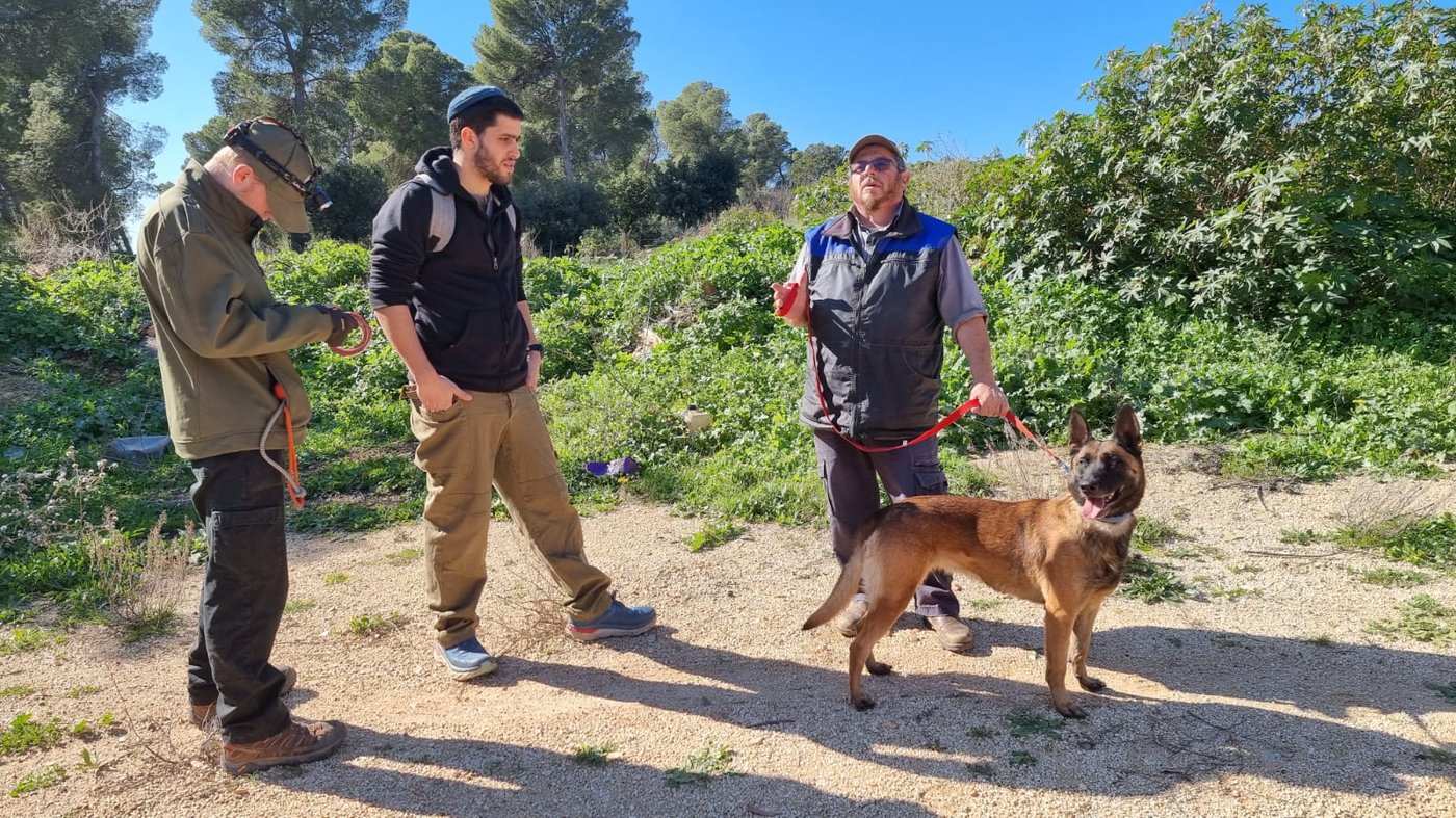 החיפושים אחרי מוישי קליינרמן נמשכים; "לא מתייאשים" • צפו