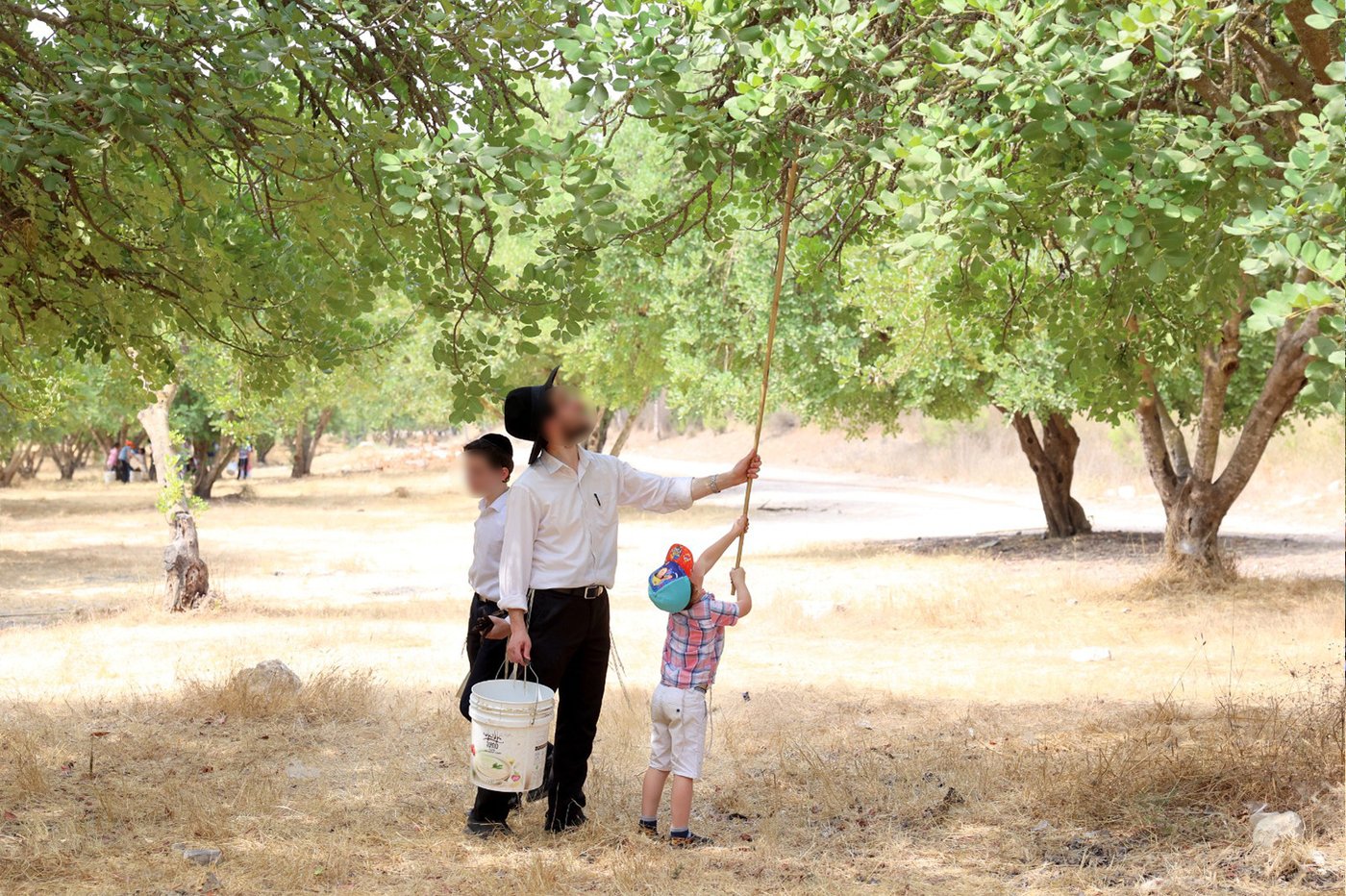בקק"ל חוגגים ט"ו בשבט ומסכמים שנת שמיטה