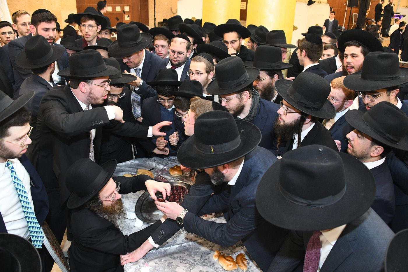המונים בחתונת בנו של הגאון רבי עמרם פריד • צפו בגלריה