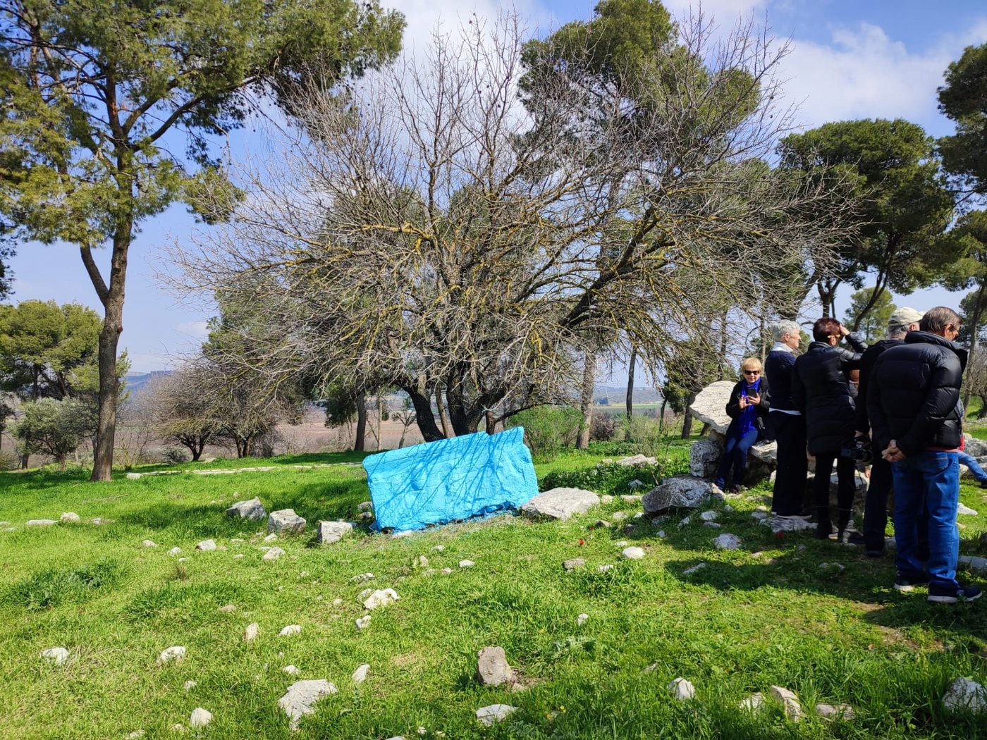 וונדליזם בגן הלאומי תל קדש: העתיקות נצבעו בכחול