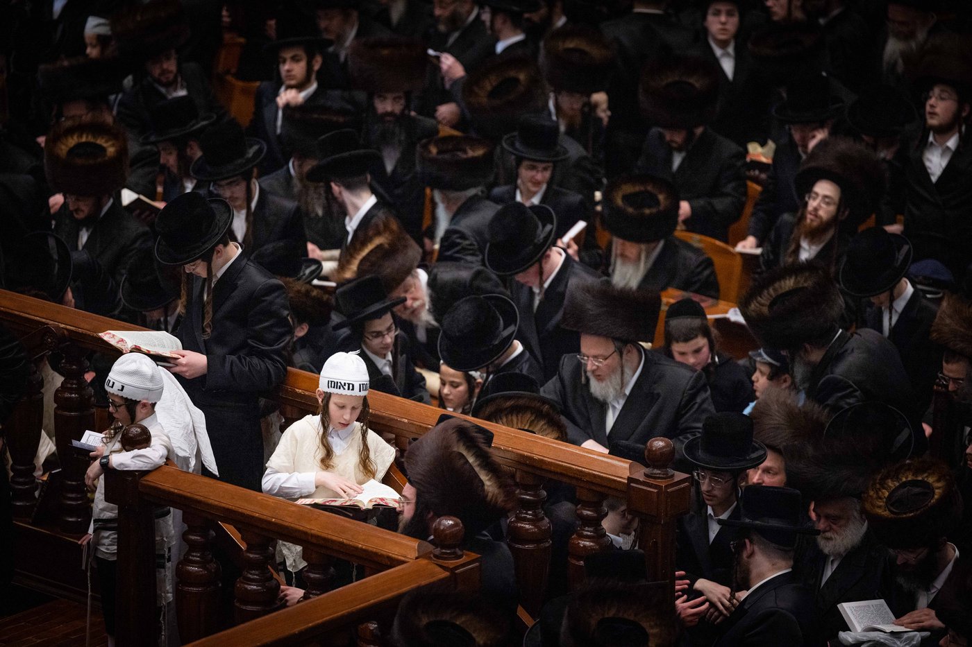 קריאת המגילה בביהמ"ד הגדול של בעלזא | תיעוד
