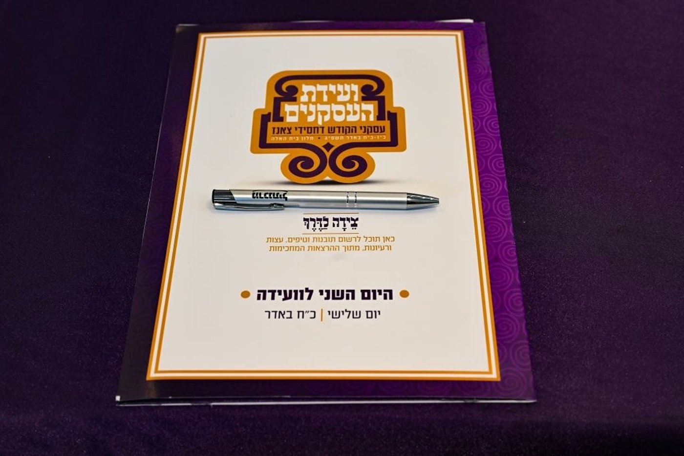 ועידת העסקנים לבית צאנז | תיעוד מסכם