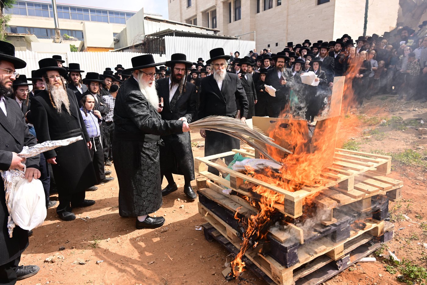 מראות חג הפסח בחצר הקודש צאנז | תיעוד מסכם