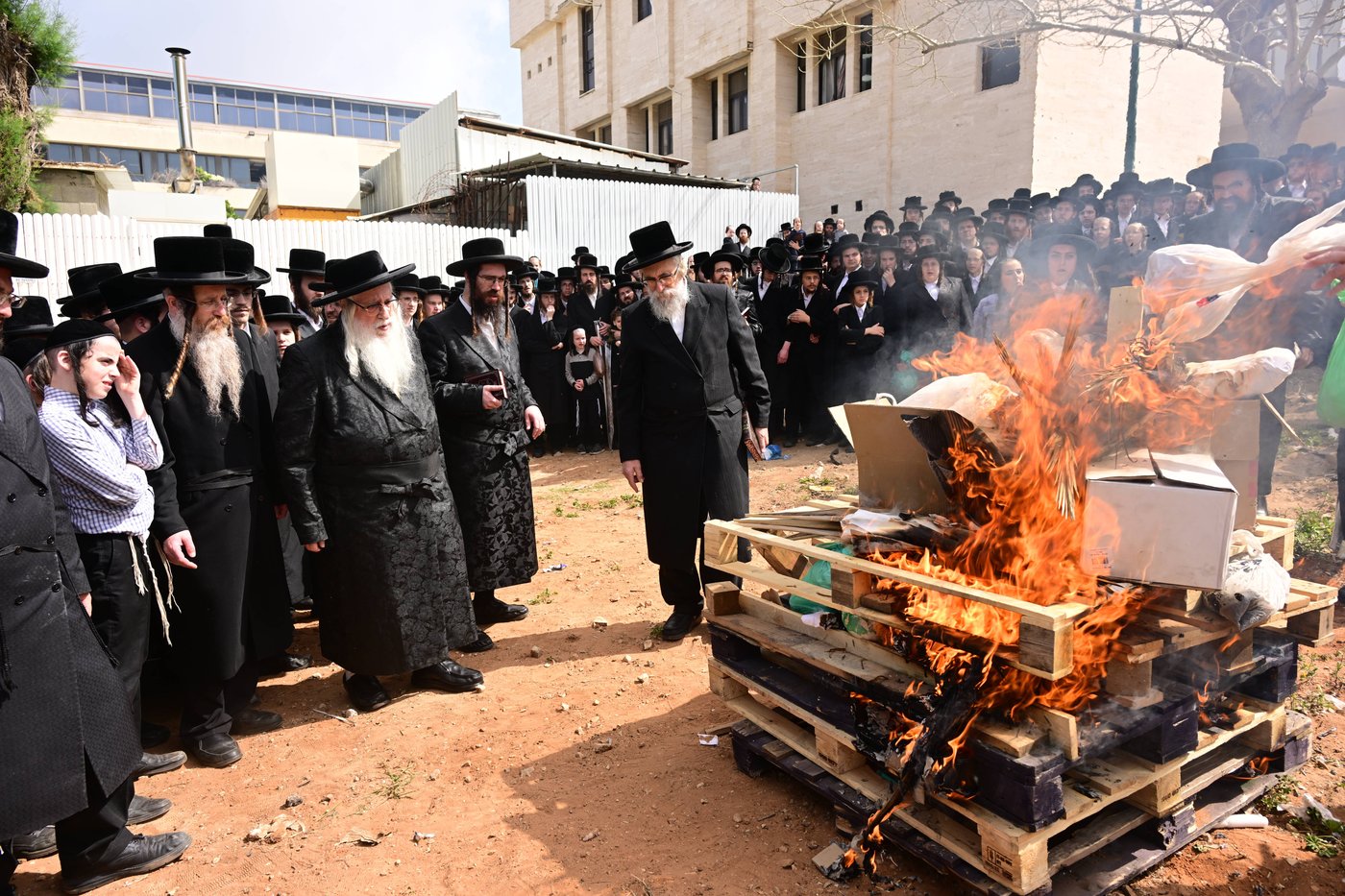 מראות חג הפסח בחצר הקודש צאנז | תיעוד מסכם