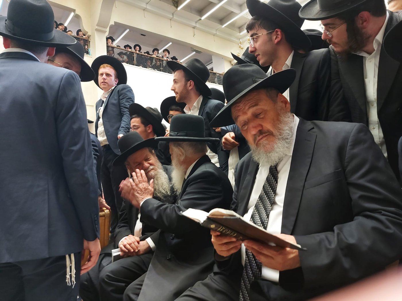 זופניק בכיכר • כל התמונות, הנייעס והחשיפות של השבוע