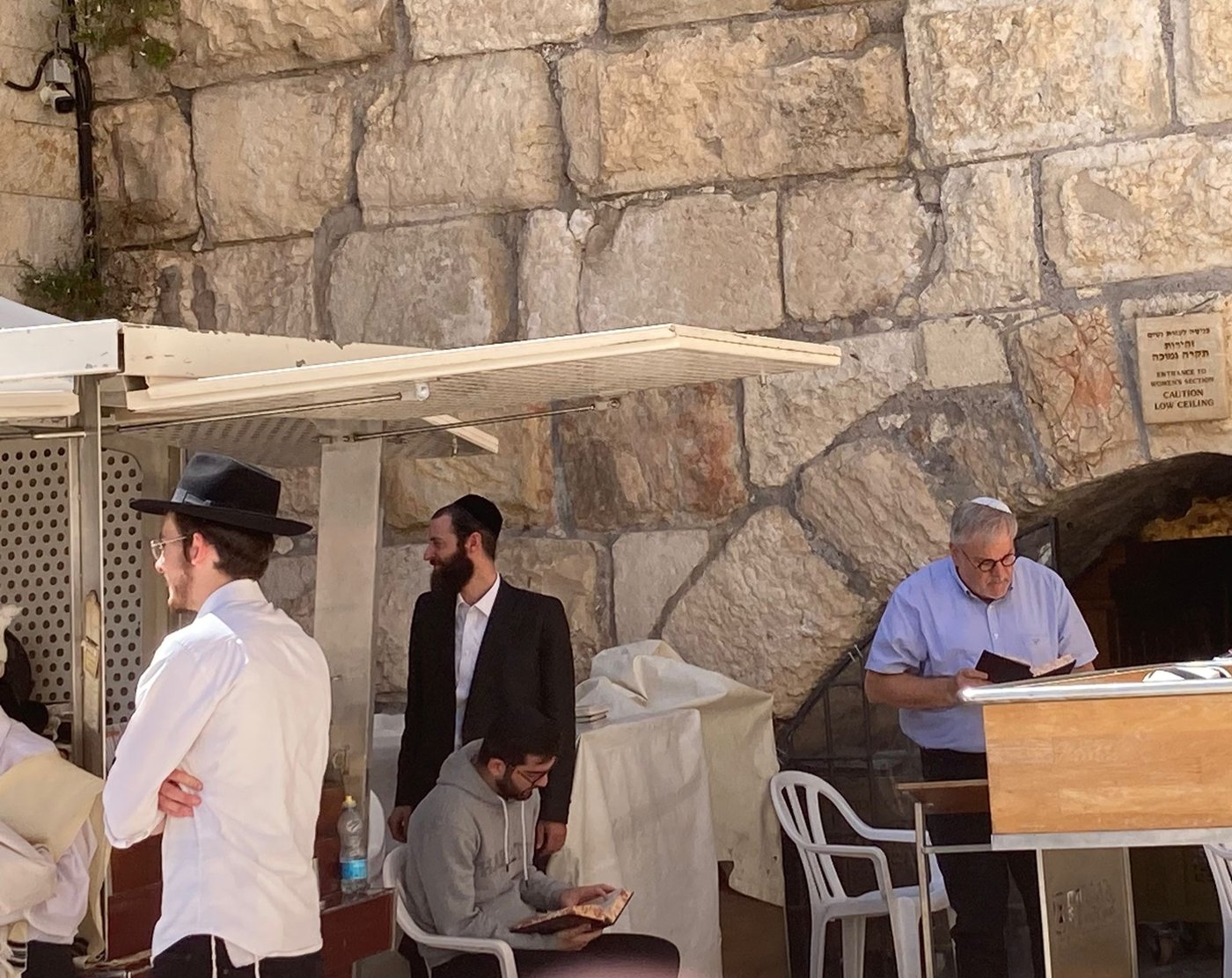 זופניק בכיכר • כל התמונות, הנייעס והחשיפות של השבוע