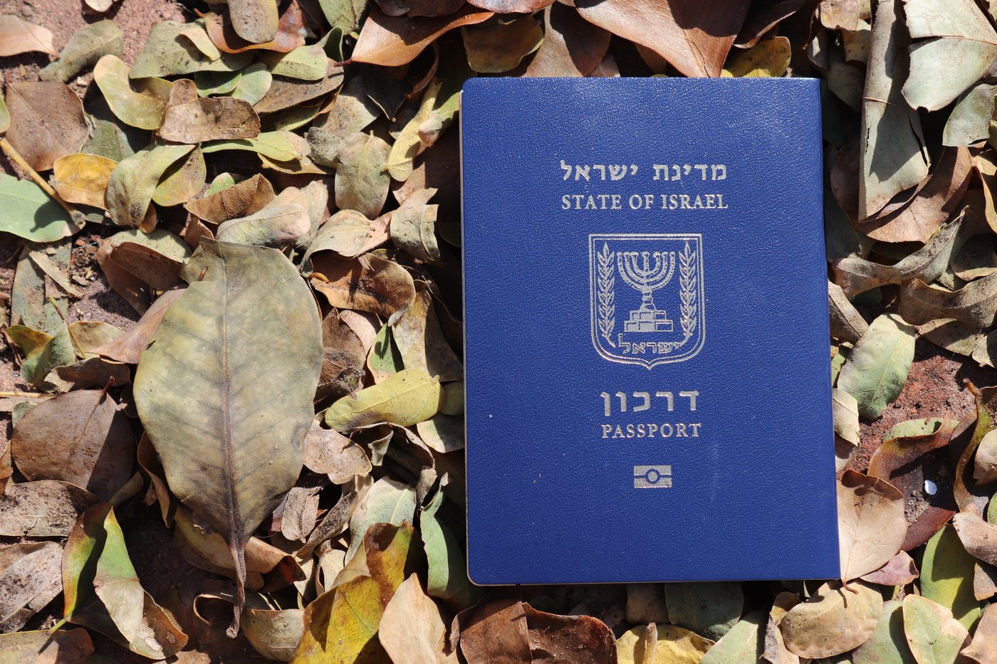 דרכון ביומטרי ישראלי