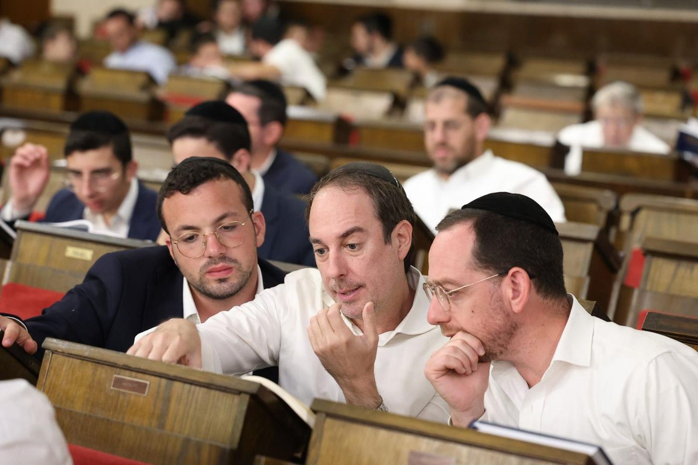 זופניק בכיכר • כל התמונות, הנייעס והחשיפות של השבוע