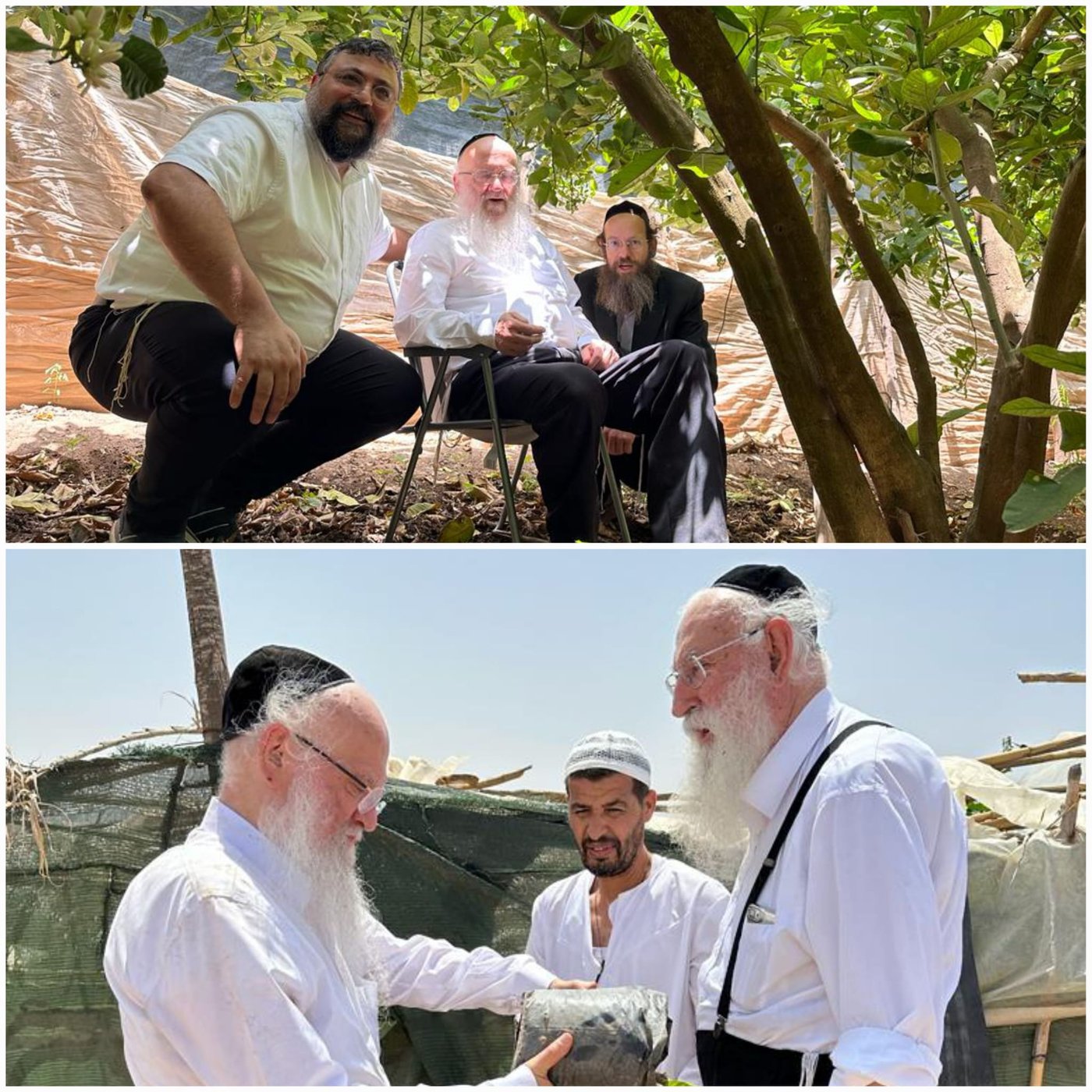 זופניק בכיכר • כל התמונות, הנייעס והחשיפות של השבוע