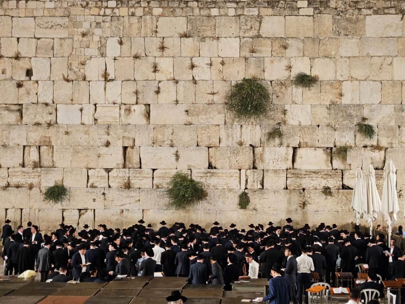 התייצבות ושיפור ניכר במצבו של 'זקן המועצת' | צפו בתפילות