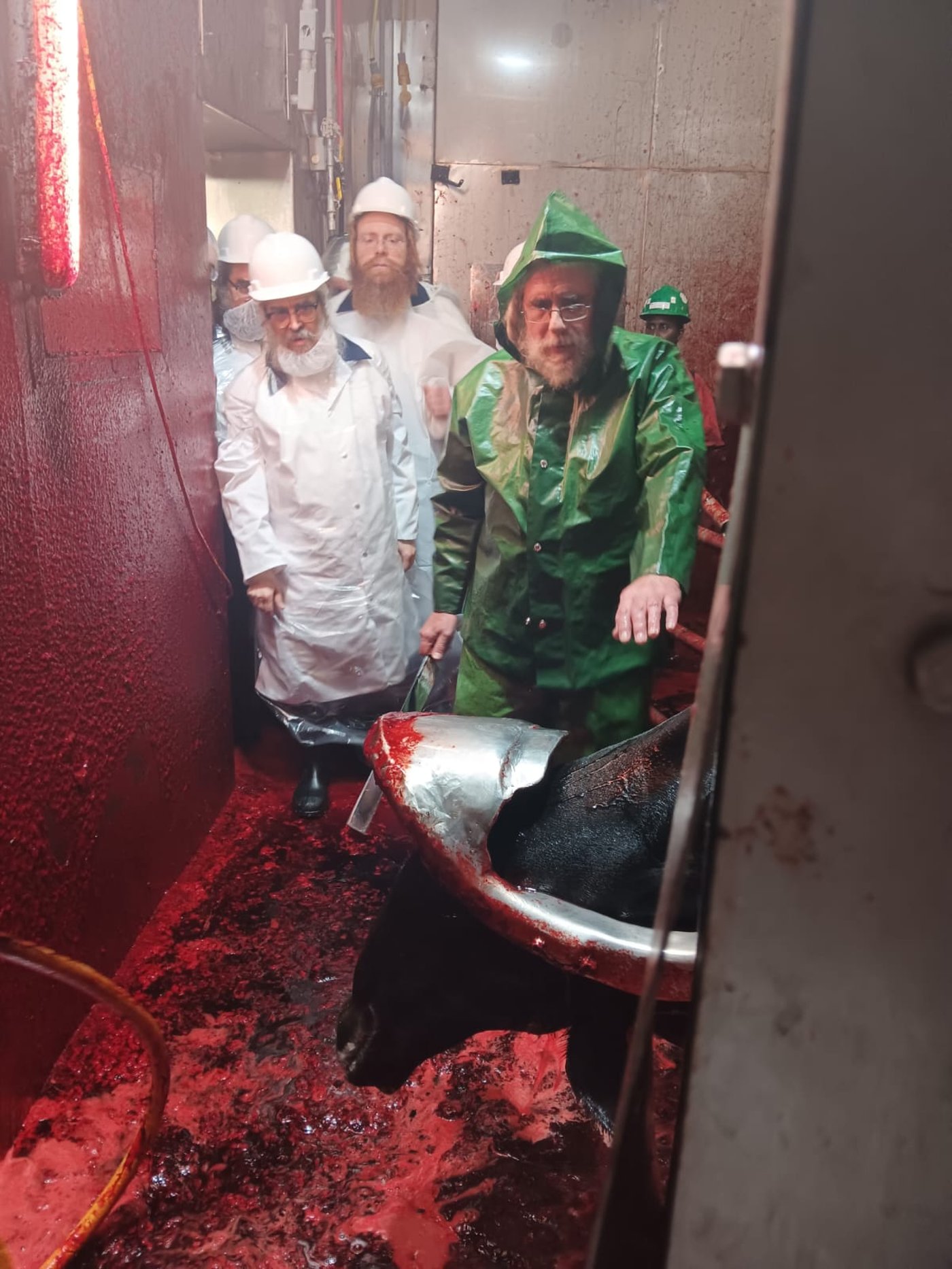 האדמו"ר מסאטמר ביקר במשחטה בפאסטוויל איווה | תיעוד