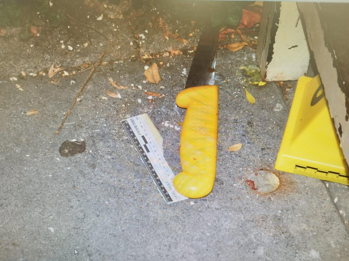 פוענח פיגוע הדקירה בגילה; המחבלים הגיעו עם סכיני קצבים במטרה לרצוח יהודים