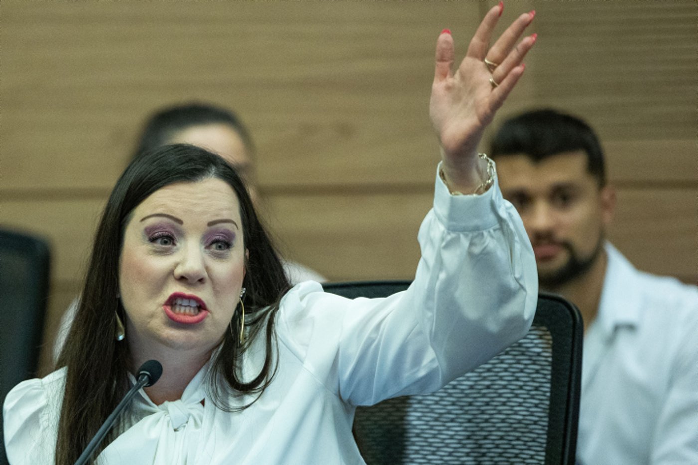 ח"כ טלי גוטליב