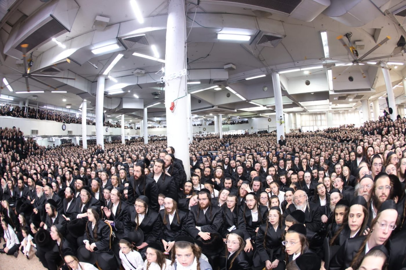 נכדת האדמו"ר מגור מתחתנת • צפו בתיעודים המרהיבים