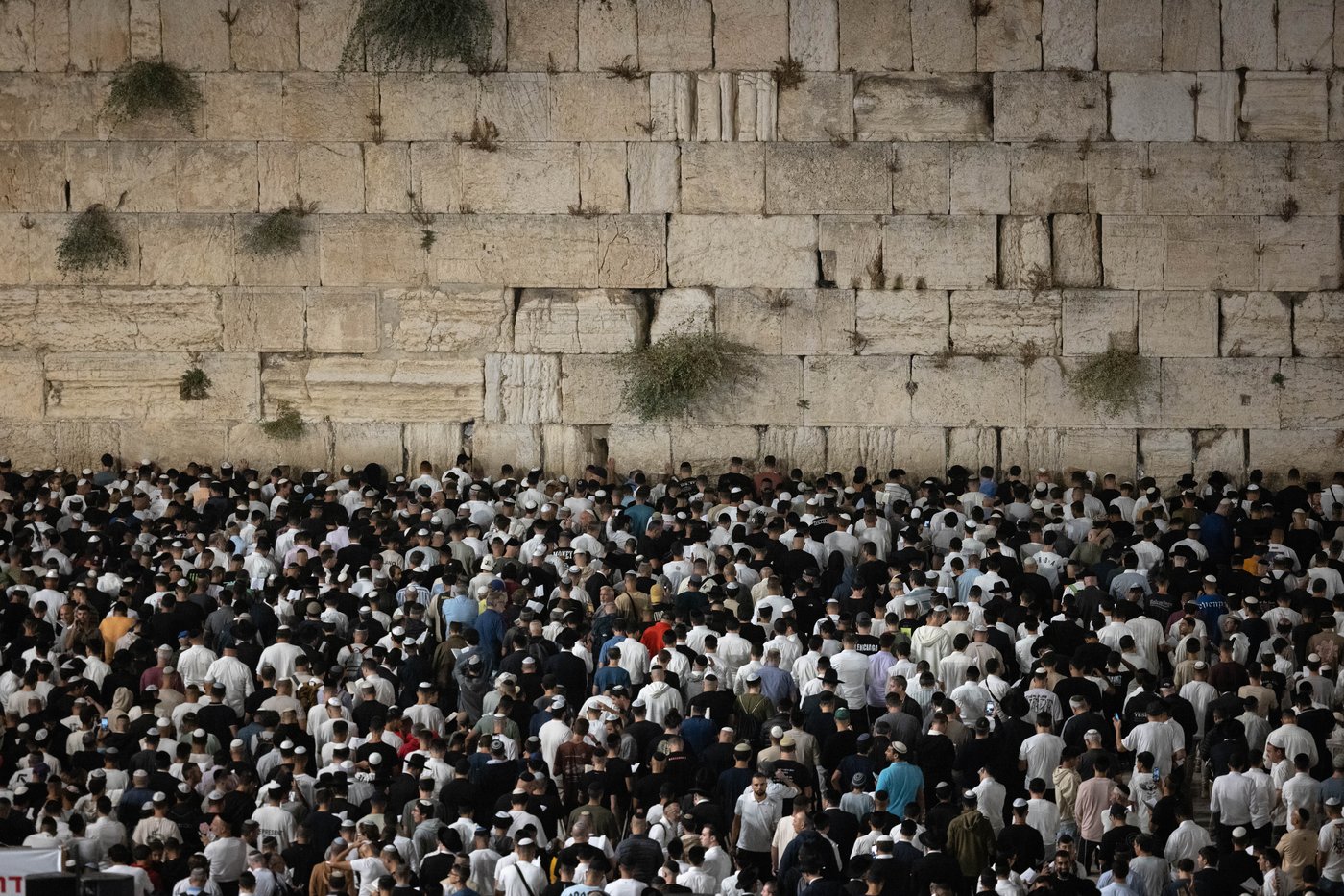 רבבות זעקו במעמד הסליחות בכותל המערבי: "תן שלום ביננו"