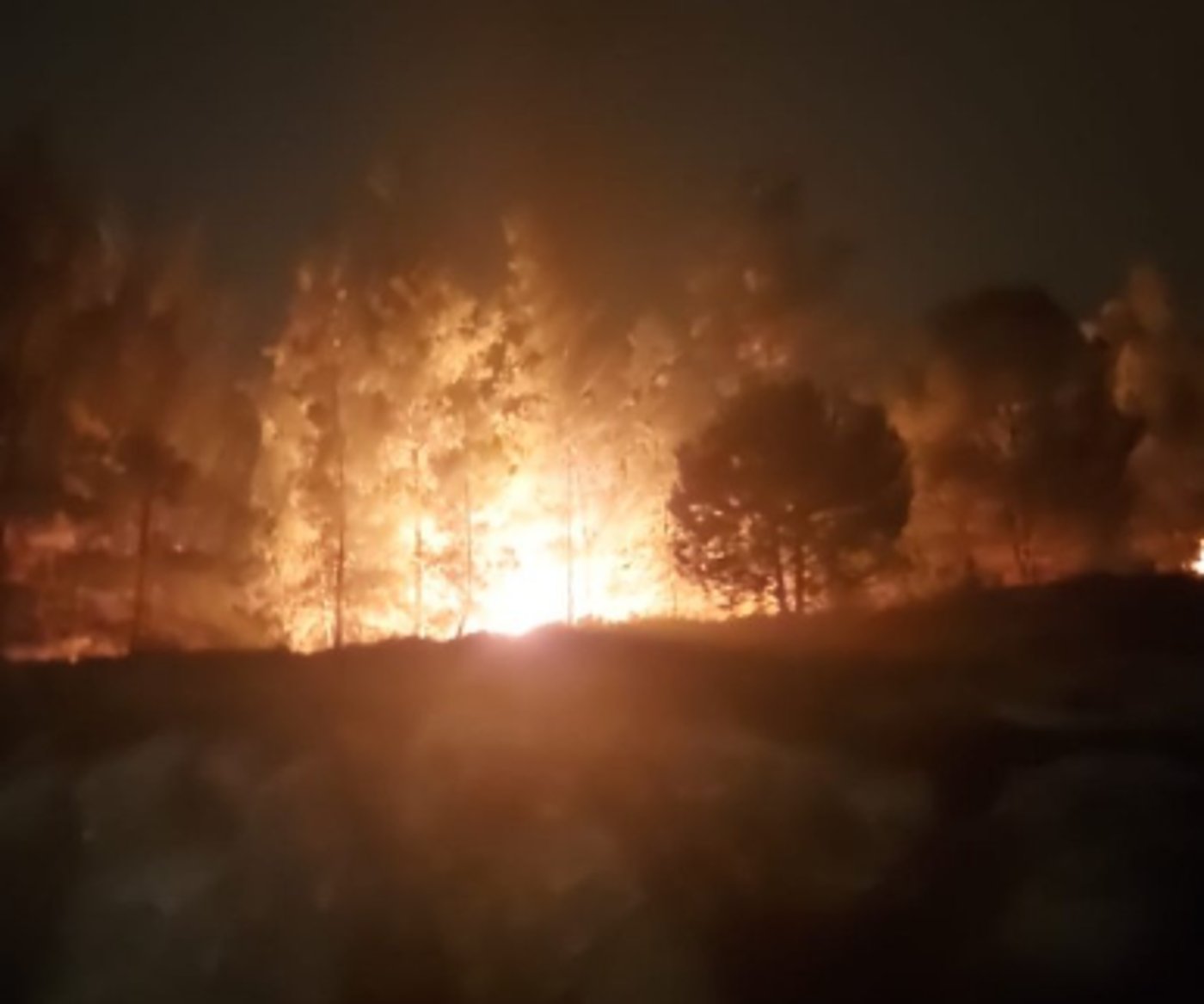 הצתה מכוונת? שריפות פרצו בחורש הסמוך ליישוב מגורים