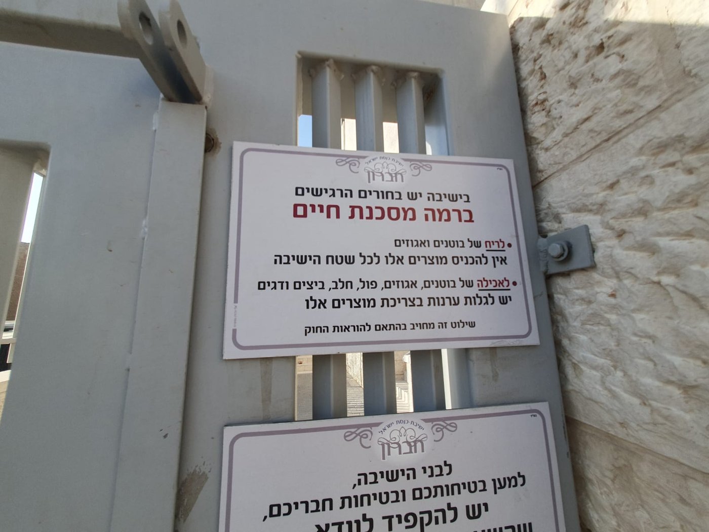 זופניק בכיכר • כל התמונות, הנייעס והחשיפות של השבוע