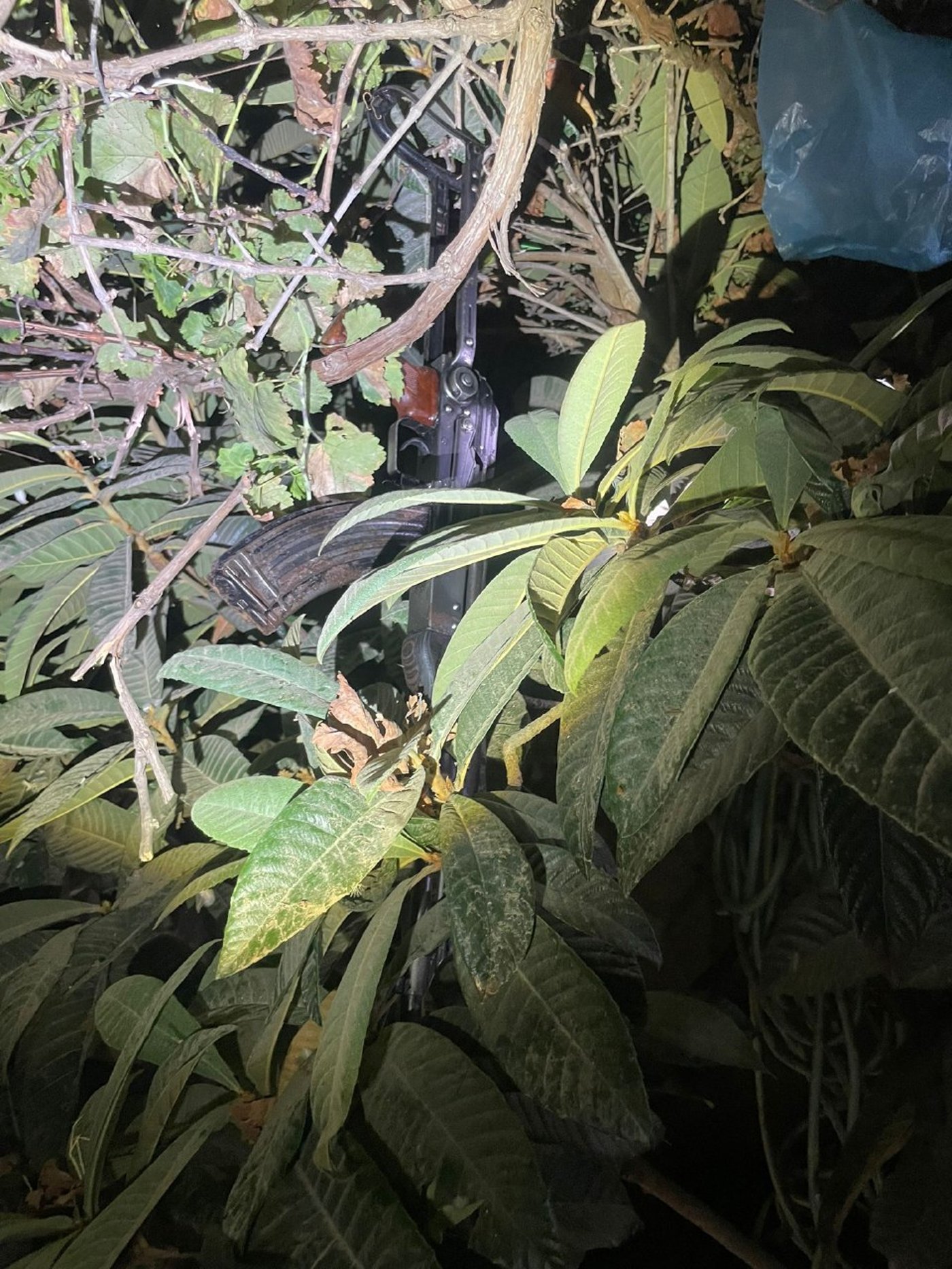 בין השיחים: השוטרים חשפו רובה קלצ׳ניקוב מוסלק