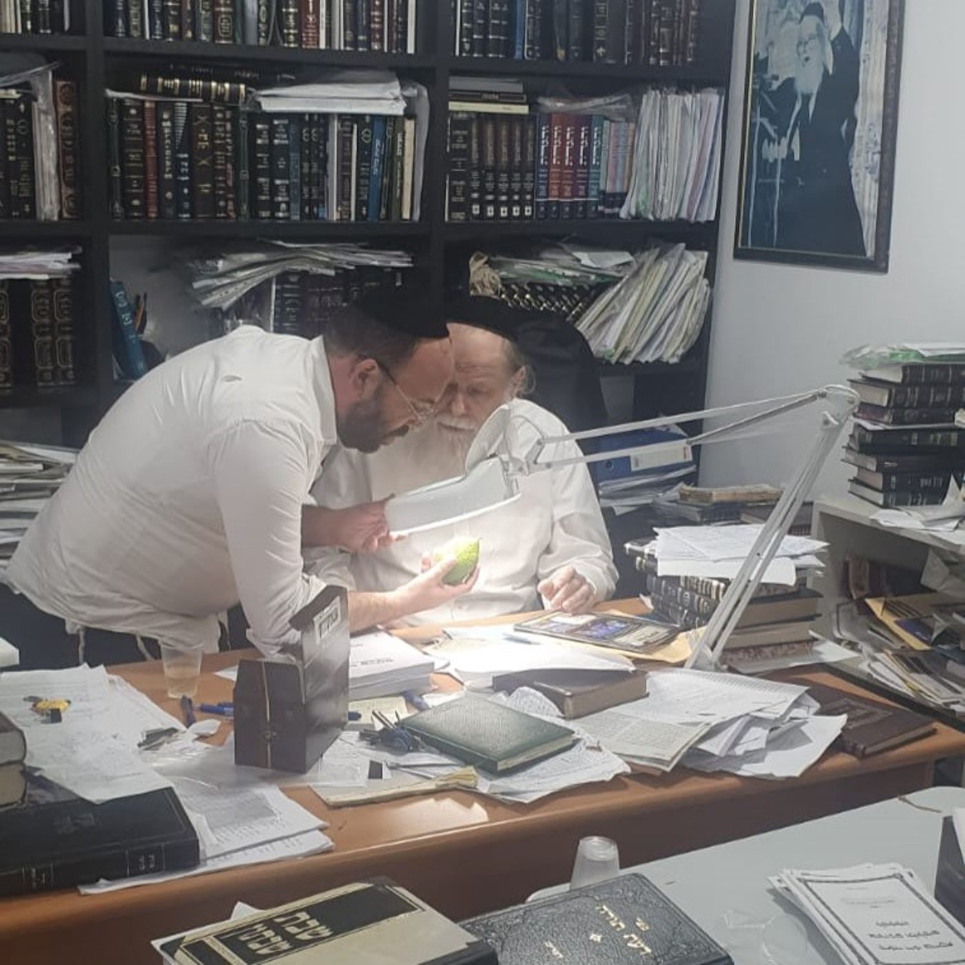 זופניק בכיכר • כל התמונות, הנייעס והחשיפות של השבוע