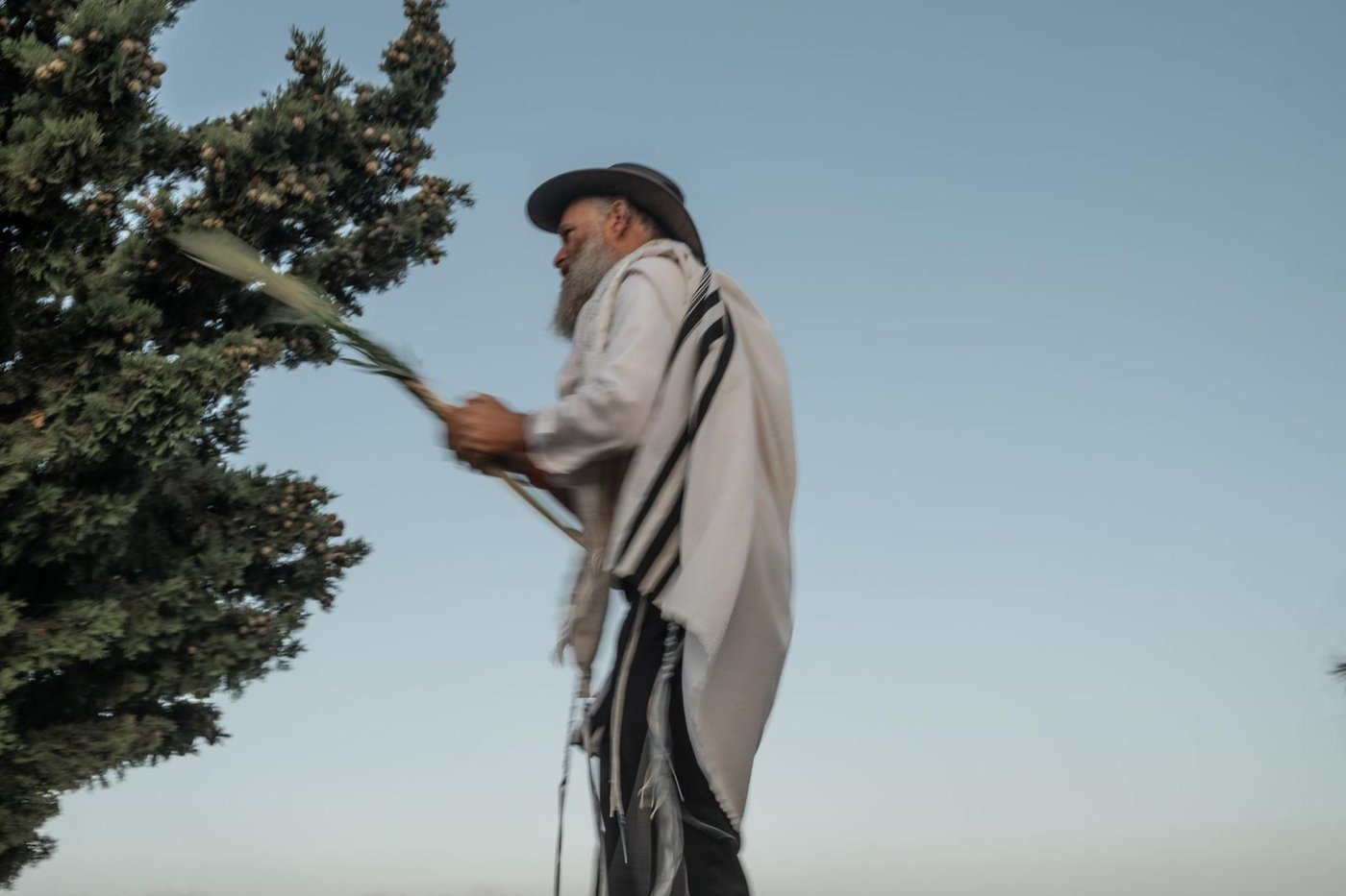 אחרי הלימוד הלילי: תפילת הושענא רבה במרומי הר הזיתים