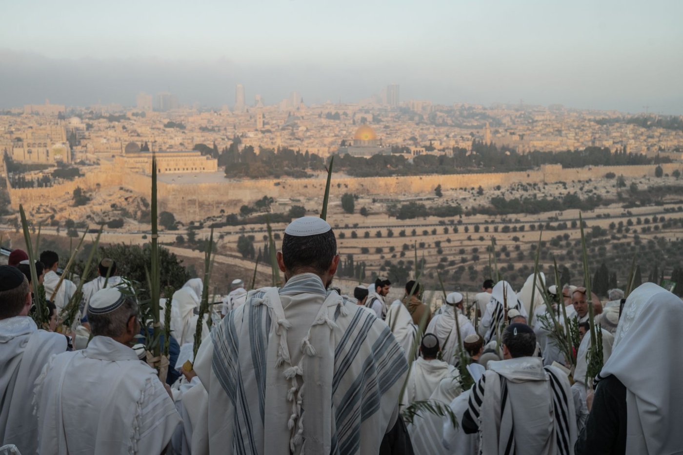 אחרי הלימוד הלילי: תפילת הושענא רבה במרומי הר הזיתים