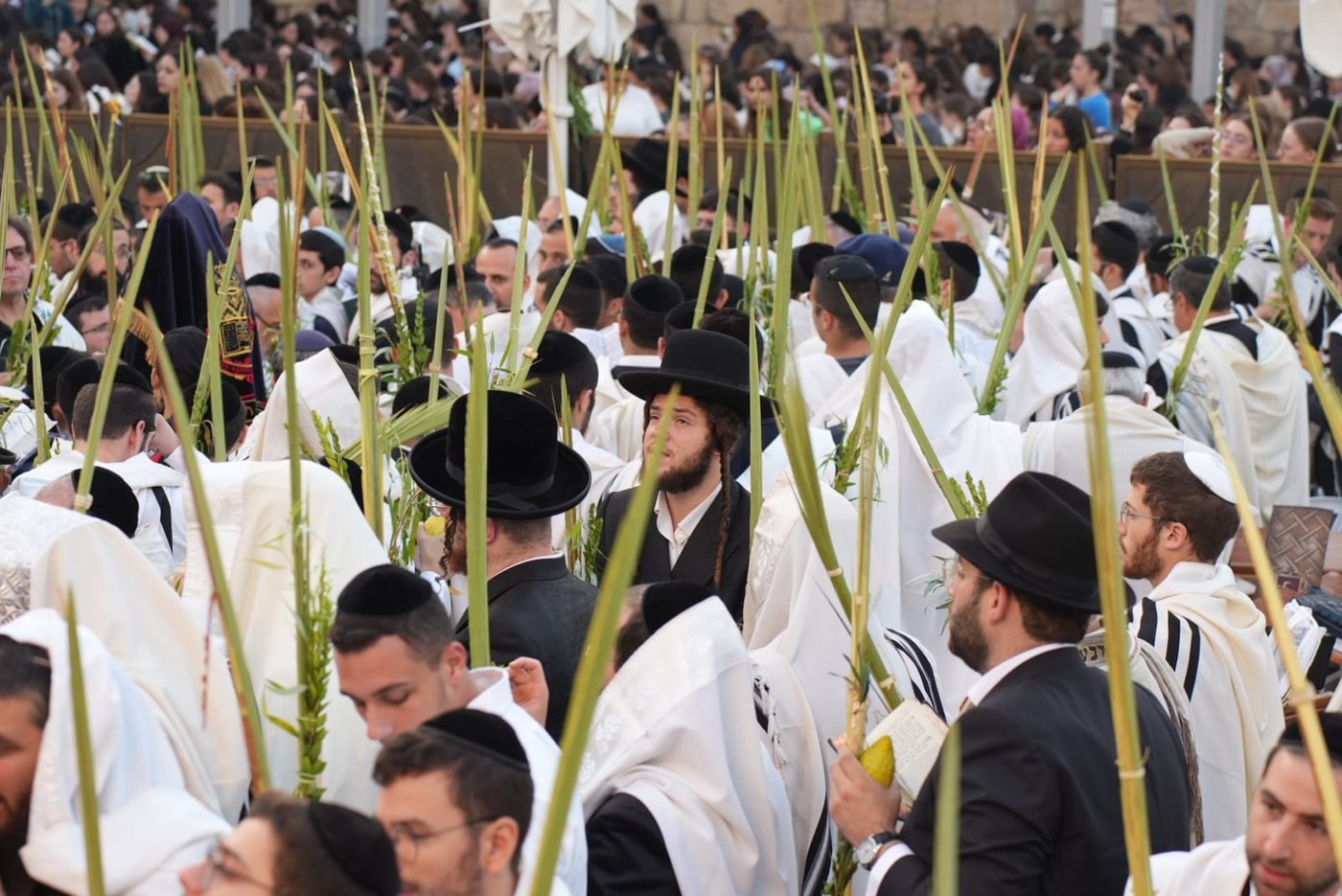 תיעוד: גלרייה אומנותית מרהיבה מהושענא רבא בכותל 