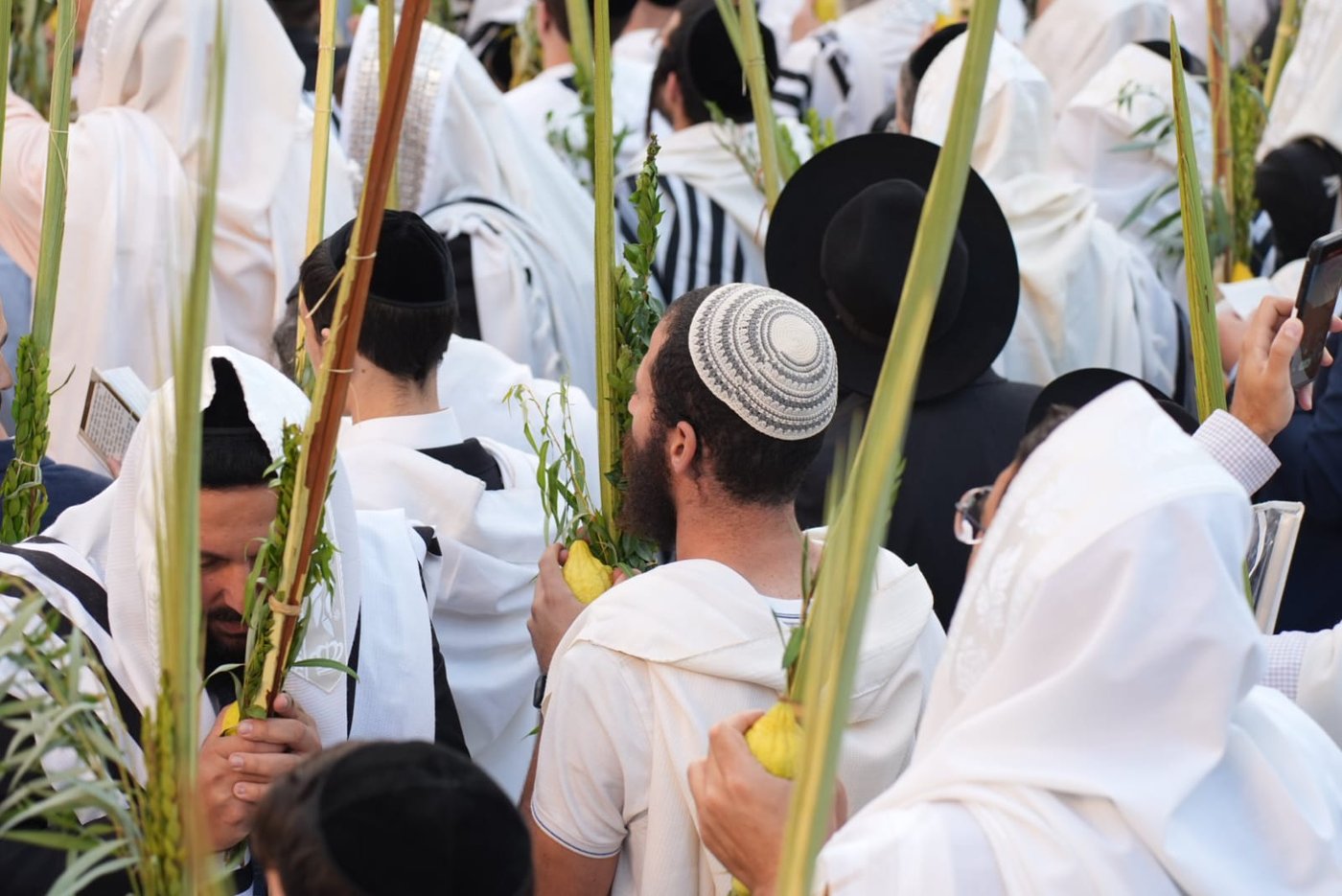 תיעוד: גלרייה אומנותית מרהיבה מהושענא רבא בכותל 