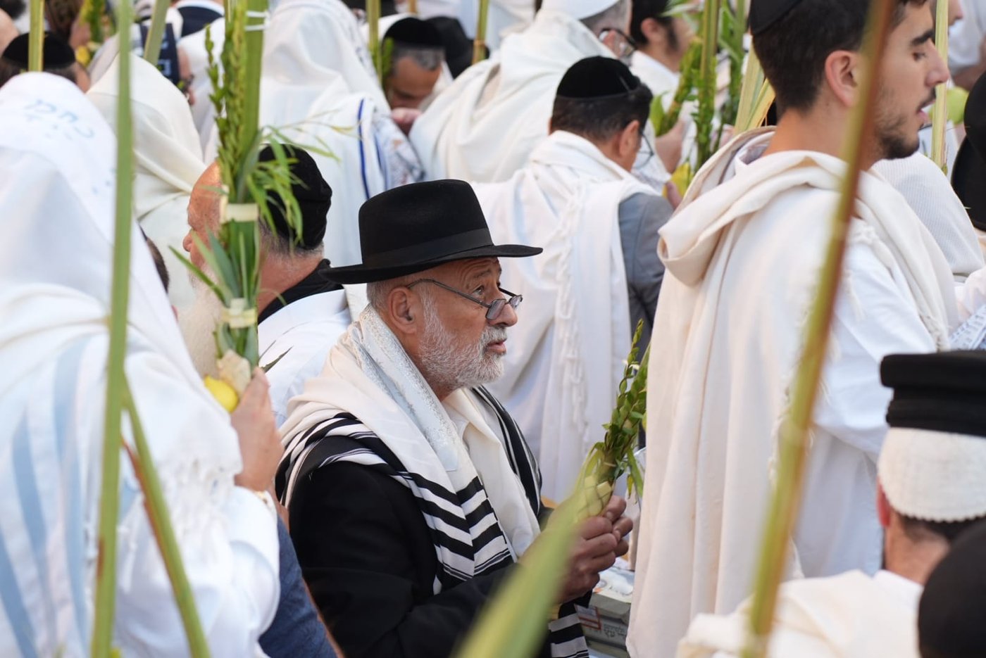 תיעוד: גלרייה אומנותית מרהיבה מהושענא רבא בכותל 