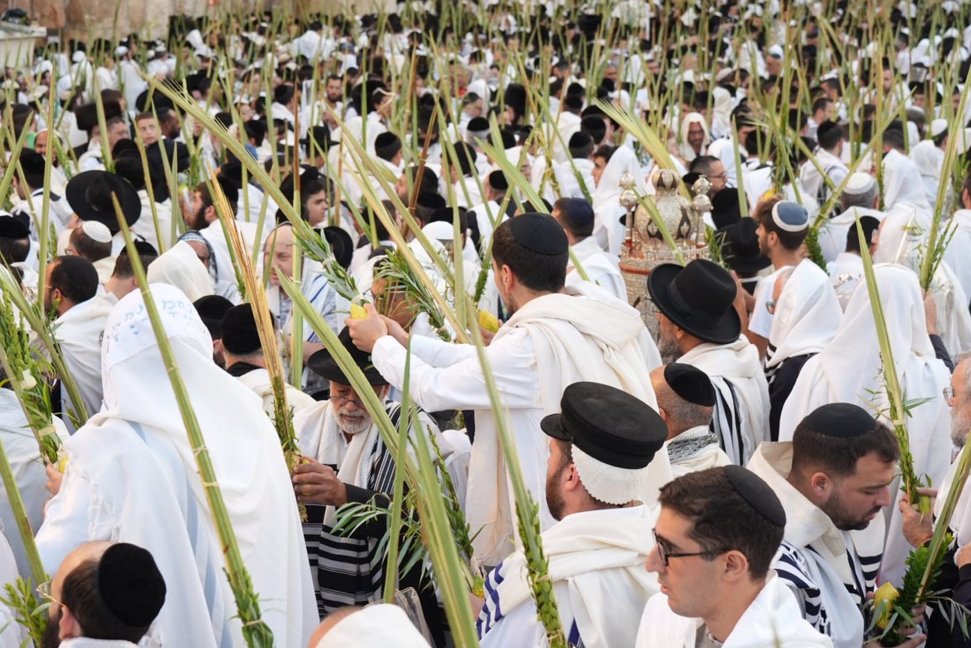 תיעוד: גלרייה אומנותית מרהיבה מהושענא רבא בכותל 